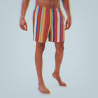 Spectrum Swim Trunks Ð Swim Trunks product image