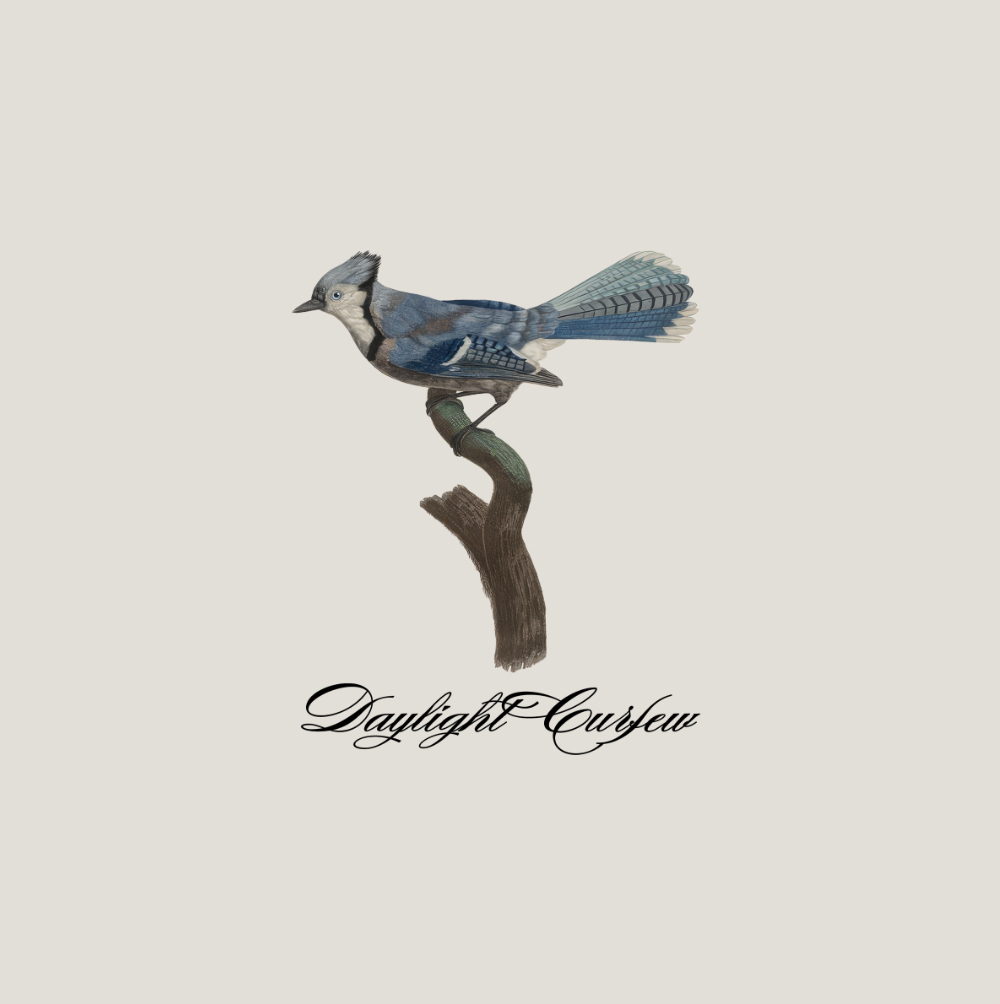 Early Bird Tee Heavyweight Organic Ð T-Shirt product image