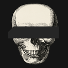Skull T Shirt Black Heavyweight Organic Ð T-Shirt product image