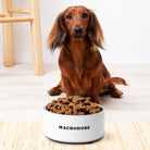 Macrodose Pet Bowl Ð Pet Bowl product image